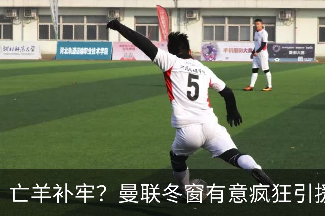 亡羊补牢？曼联冬窗有意疯狂引援，已瞄准两大目标