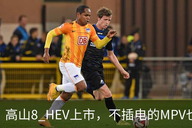 高山8 HEV上市，不插电的MPV也配激光雷达