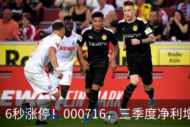 6秒涨停！000716，三季度净利增长近40倍