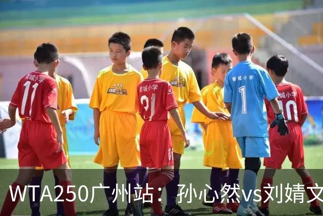 WTA250广州站：孙心然vs刘婧文，中国最年轻8强选手，有望冲击4强